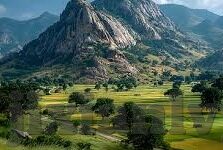大象传媒下载目录-探索大象传媒下载目录的多样性与实用性