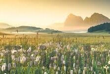 果冻传媒免费观看地址-果冻传媒，探索免费观影新境界