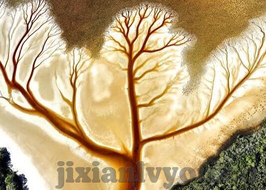 人妻中文字幕亚洲-人妻视角下的生活细语，中文字幕下的亚洲情感微澜
