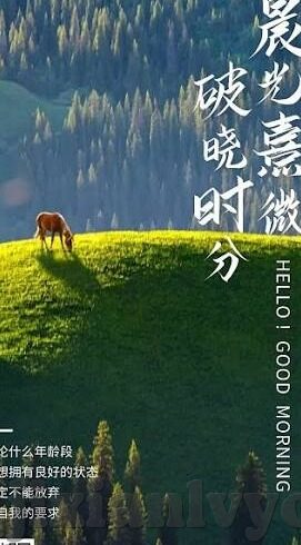 糖心vlog官方网址-果然必看，探索生活美味——糖心Vlog 官方意向之选